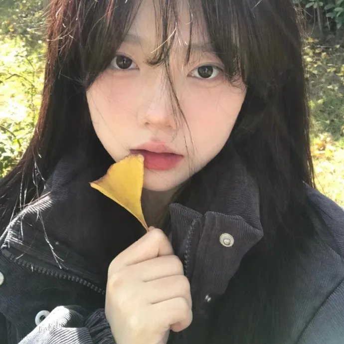 莲花